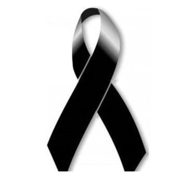 araceliayline
